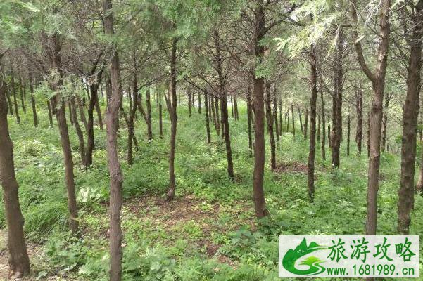 8月北京蟒山景区恢复开放时间