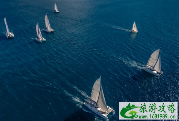 2021第十四届全运会帆船比赛场地及时间 2021第十四届全运会帆船比赛场地及时间