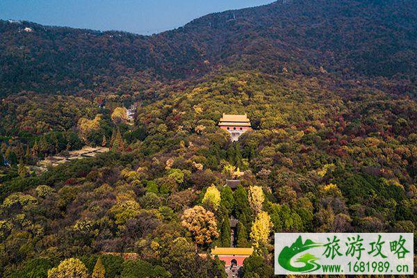 南京有哪些免费的景点 南京免费旅游景点大全