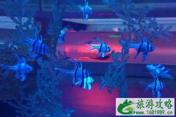 南京亲子游必去景点 南京亲子游去哪里好 南京亲子游必去景点 南京亲子游去哪里好