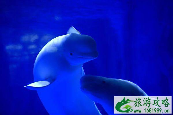 无锡融创海世界游玩攻略 无锡融创海世界门票价格 无锡融创海世界游玩攻略 无锡融创海世界门票价格