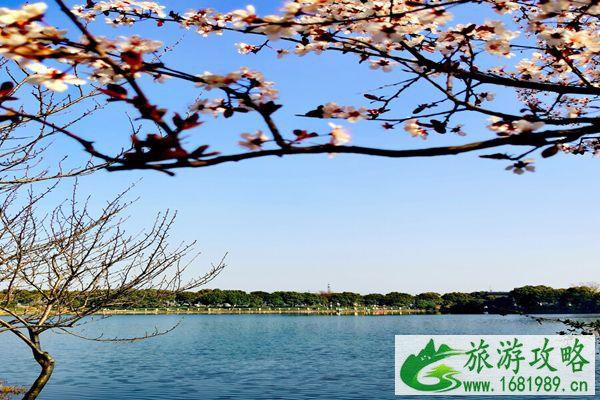 2021疫情期间无锡阳山湖封闭通知 2021疫情期间无锡阳山湖封闭通知