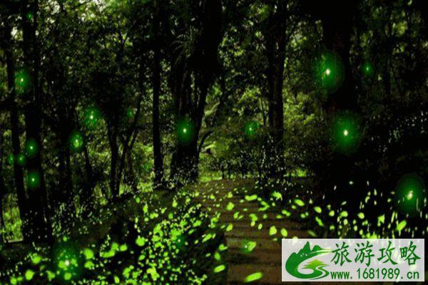 2021无锡龙寺生态园暂停接待旅游团及室内场馆关闭通知 2021无锡龙寺生态园暂停接待旅游团及室内场馆关闭通知