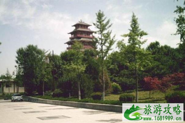 深圳西丽有什么好玩的地方