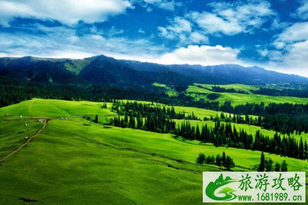 2021暑期那拉提景区门票优惠政策-促销活动 2021暑期那拉提景区门票优惠政策-促销活动