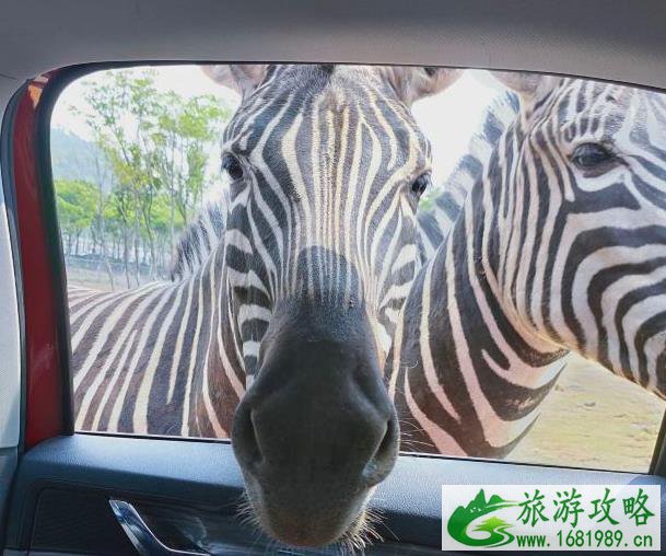 2021年南京疫情期间暂停关闭的景点汇总 2021年南京疫情期间暂停关闭的景点汇总