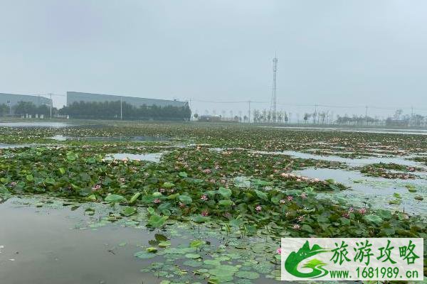 天津曙光水镇在哪里 天津曙光水镇好玩吗