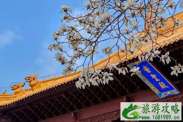南京旅游攻略景点必去 南京旅游攻略景点必去