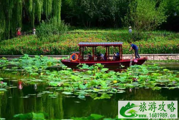 2021暑假北京玉渊潭公园活动时间-内容