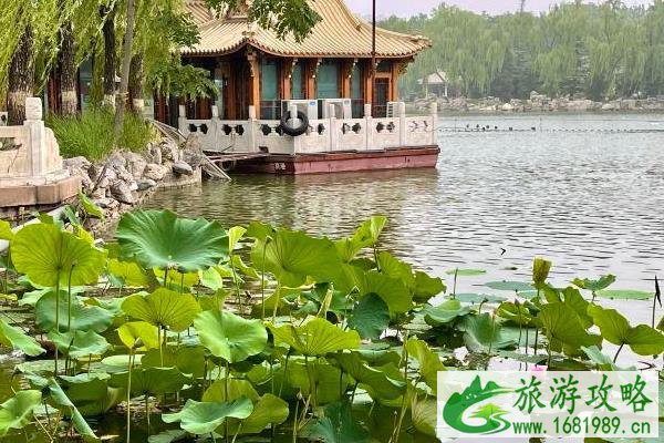 2021北京龙潭公园赏荷时间-门票 2021北京龙潭公园赏荷时间-门票