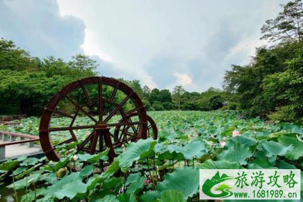 2021年南宁青秀山暑假活动