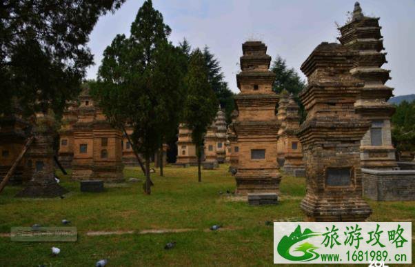 中国古塔有哪些 中国十大古塔介绍 中国古塔有哪些 中国十大古塔介绍