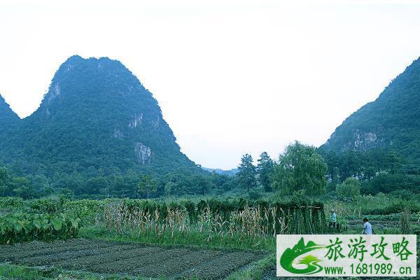 2021深圳夏季周边游玩景点推荐 2021深圳夏季周边游玩景点推荐