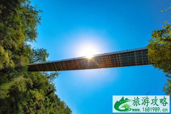 2021年7月起南京天生桥对持有学生证及中高考准考证学生免费开放 2021年7月起南京天生桥对持有学生证及中高考准考证学生免费开放