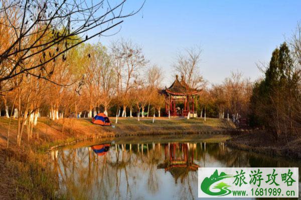 天津青龙湾固沙森林公园什么时候开放 天津青龙湾固沙森林公园什么时候开放