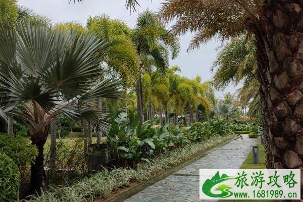 2021茂名森林公园游玩指南