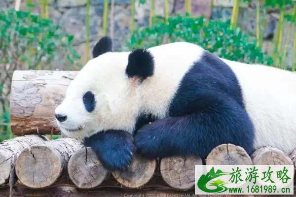 南京暑假旅游攻略 南京亲子游玩好去处 南京暑假旅游攻略 南京亲子游玩好去处