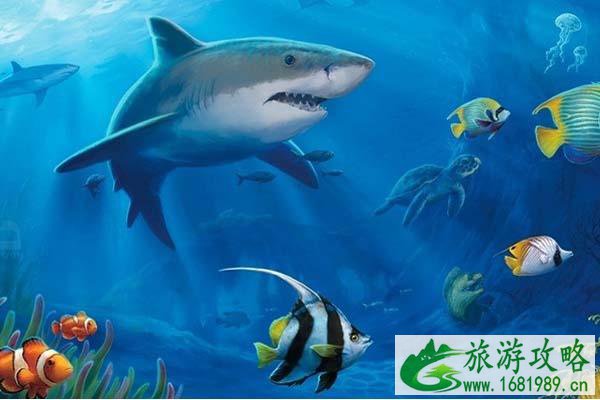 南京暑假旅游攻略 南京亲子游玩好去处 南京暑假旅游攻略 南京亲子游玩好去处
