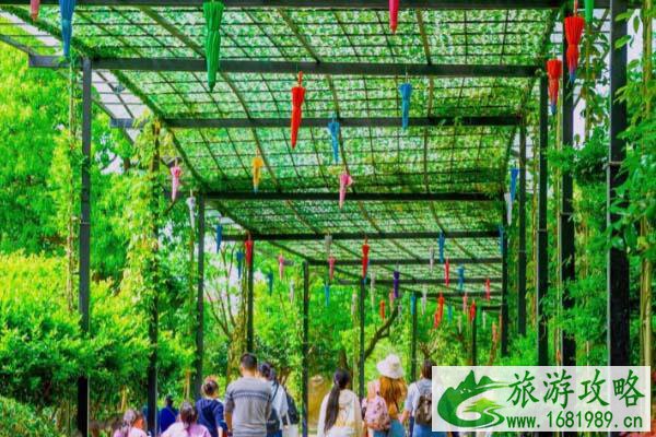 安吉旅游必去景点 安吉亲子游去最值得去的地方