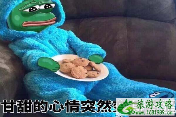 2021QQ音乐毕业歌会门票怎么买-演出时间-地点-阵容 2021QQ音乐毕业歌会门票怎么买-演出时间-地点-阵容