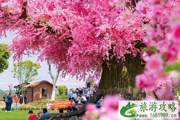 木兰花乡有哪些游乐项目 木兰花乡门票-交通