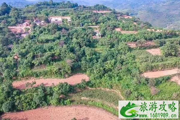孟津古村落有哪些  孟津古村落景点
