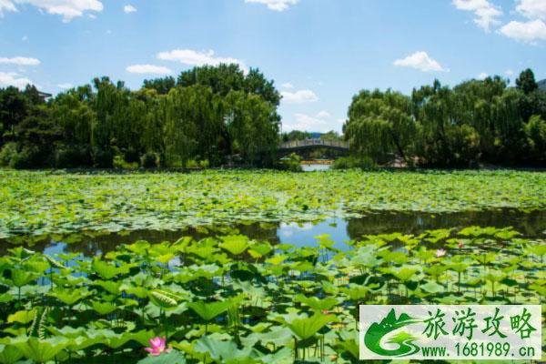 无锡荷花最好看地方-景点推荐 无锡荷花最好看地方-景点推荐