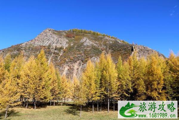 夏天适合到哪里去避暑  夏天旅游哪里凉快
