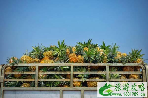 广州周边游 广东有哪些好玩的景点 广州周边游 广东有哪些好玩的景点