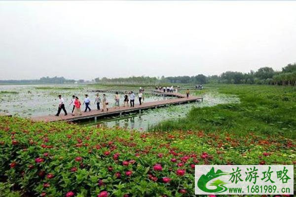 2021天津曙光水镇游玩攻略时间-门票 2021天津曙光水镇游玩攻略时间-门票