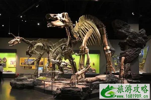 2021天津自然博物馆开放时间-预约攻略