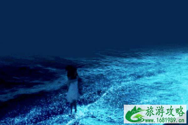 火爆全网的蓝眼泪平潭岛在哪里