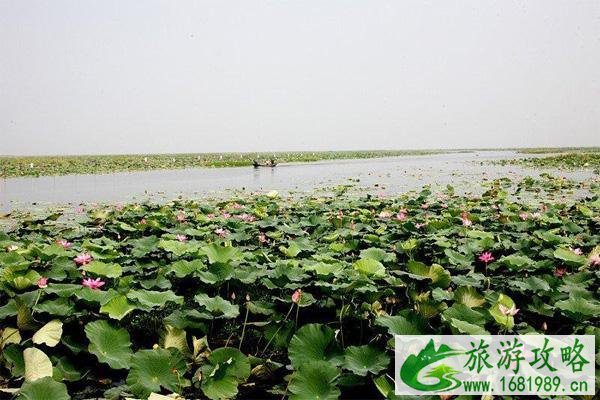 洪湖在哪里-怎么去 洪湖在哪里-怎么去