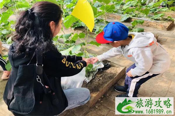 2021天津光合谷旅游度假区游玩攻略-时间-门票-交通 2021天津光合谷旅游度假区游玩攻略-时间-门票-交通