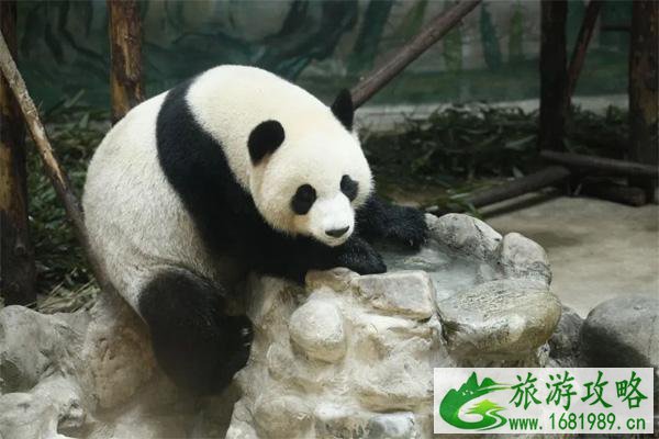 2021天津光合谷旅游度假区游玩攻略-时间-门票-交通 2021天津光合谷旅游度假区游玩攻略-时间-门票-交通