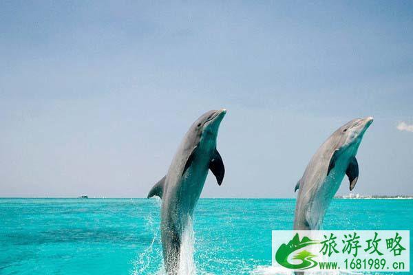 全球最贵的海岛旅行 马尔代夫都逊色