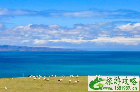 315国道适合自驾游吗 315国道适合自驾游吗