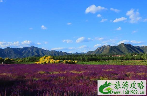 十三陵七孔桥花海停车方便吗 十三陵七孔桥花海停车方便吗