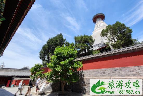 2021妙应寺白塔开放了吗 端午节妙应寺白塔开放时间 2021妙应寺白塔开放了吗 端午节妙应寺白塔开放时间