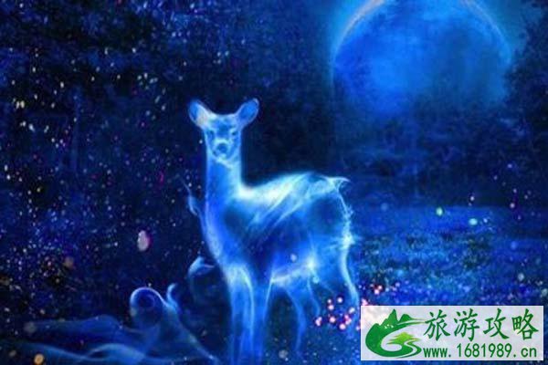 2021年南宁园博园幻光潮园会游玩攻略-时间-地点-交通 2021年南宁园博园幻光潮园会游玩攻略-时间-地点-交通
