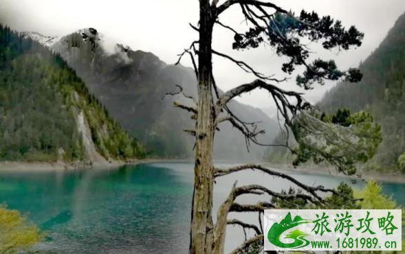 2021年端午节怎么玩比较合适 端午节旅游攻略 2021年端午节怎么玩比较合适 端午节旅游攻略
