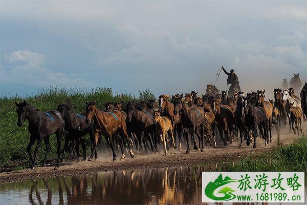 伊昭公路沿途景点介绍