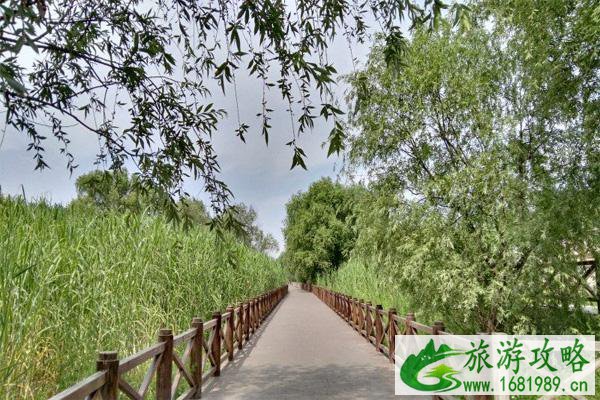 南京夏季旅游去哪里好 南京夏季避暑旅游景点 南京夏季旅游去哪里好 南京夏季避暑旅游景点