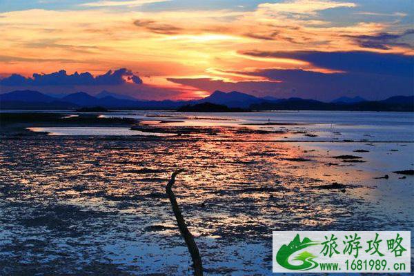 2021深圳周边端午节旅游好去处