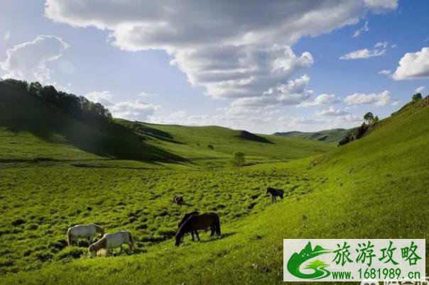 河北暑假旅游好去处 河北暑假旅游好去处