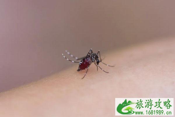 深圳蚊子地图最新-哪里蚊子最多 深圳蚊子地图最新-哪里蚊子最多