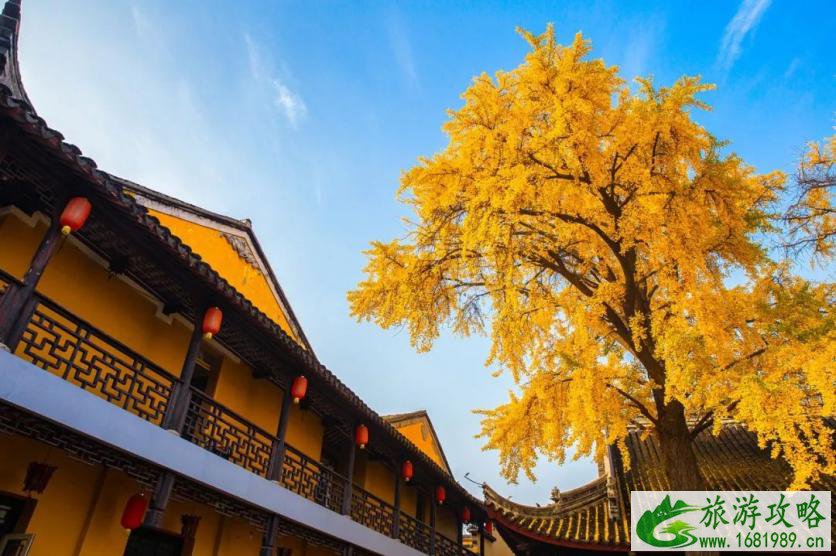 苏州旅游 苏州吃住去哪里-小吃-餐厅-住宿 苏州旅游 苏州吃住去哪里-小吃-餐厅-住宿