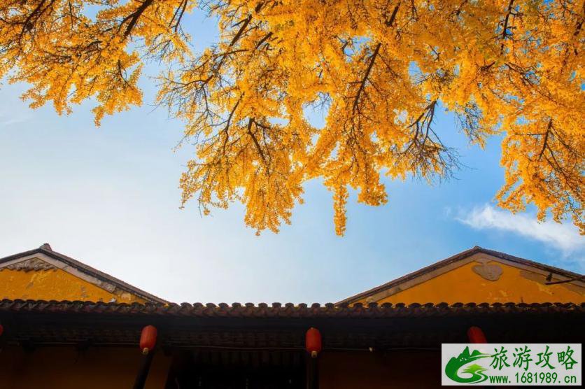 苏州旅游 苏州吃住去哪里-小吃-餐厅-住宿 苏州旅游 苏州吃住去哪里-小吃-餐厅-住宿