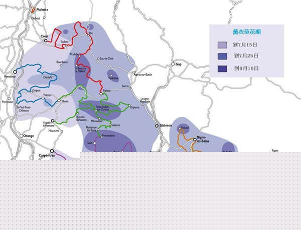 普罗旺斯薰衣草攻略 普罗旺斯薰衣草攻略