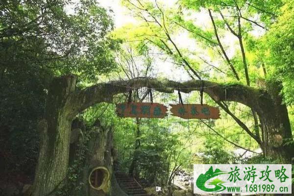 千岛湖旅游攻略 千岛湖怎么玩最好 千岛湖旅游攻略 千岛湖怎么玩最好